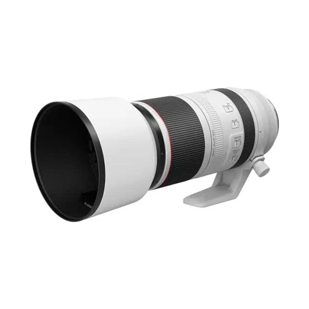 Canon RF 100-500mm f/4.5-7.1 L IS USM Lens - Image 3