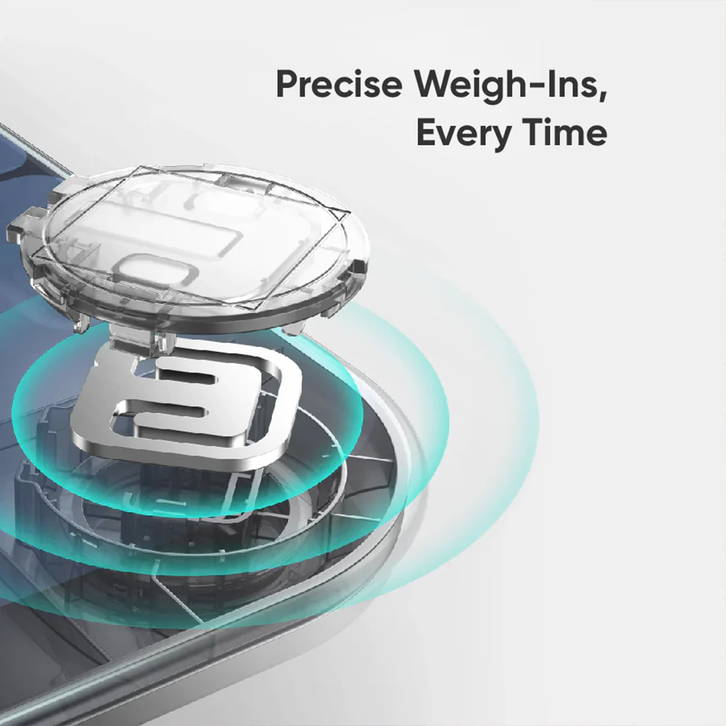 Eufy Smart Scale P3 - Precise Body Fat and Health Monitoring with 3D Virtual Insights - Image 4