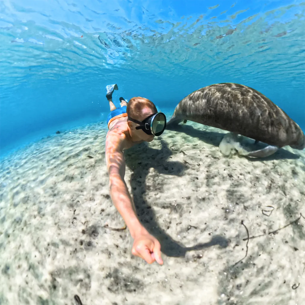 Insta360 X5 Invisible Dive Case – Waterproof 360° Underwater Housing (Up to 60m) - Image 6