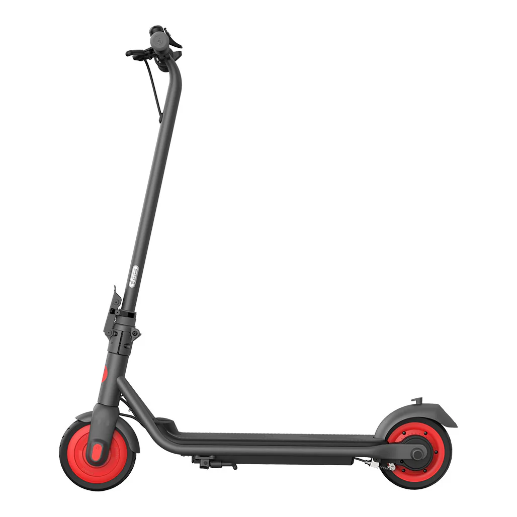 Segway Ninebot Zing C20 Electric Scooter
