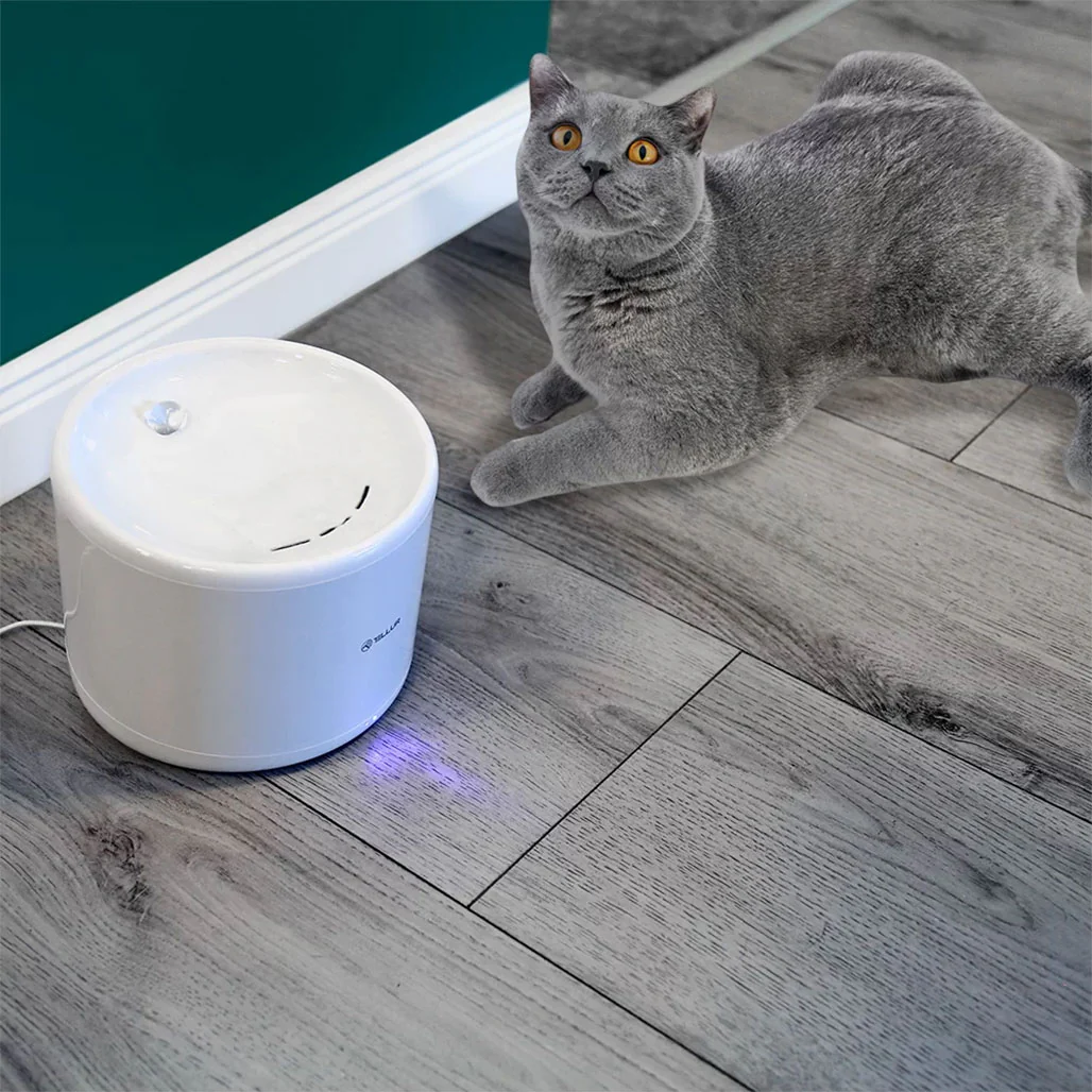 Tellur Smart WiFi Pet Water Dispenser 2L with UV Sterilization – White - Image 3